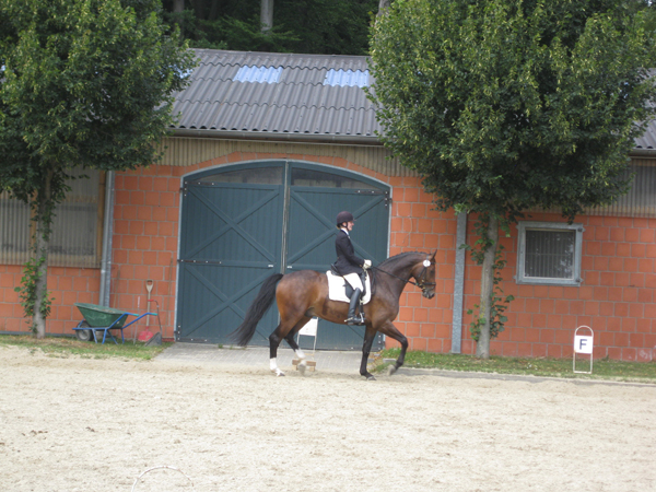 hattingen-Homberg 030